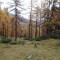 dsc01775.jpg
