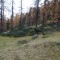 dsc01776.jpg