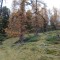 dsc01777.jpg