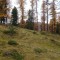 dsc01778.jpg