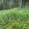 wf_grotzawald_23_6.jpg