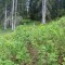 wf_grotzawald_23_7.jpg