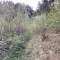 wf_suraua_sorts_fs-2.1_2022.jpg