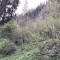 wf_suraua_sorts_fs-2.2_2022.jpg