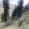 wf_suraua_sorts_fs-3.1_2022.jpg