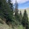 wf_suraua_sorts_fs-4.1_2022.jpg