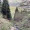 wf_suraua_sorts_fs-4.2_2022.jpg