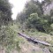 wf_suraua_sorts_fs-4.3_2022.jpg
