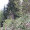 wf_suraua_sorts_fs-5.3_2022.jpg