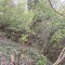 wf_suraua_sorts_fs-8.1_2022.jpg