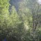 wf_suraua_sorts_fs-1.1_2012.jpg