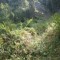 wf_suraua_sorts_fs-2.1_2012.jpg