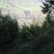 wf_suraua_sorts_fs-4.4_2012.jpg
