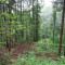 20120626_guberwald_f05_talwaerts_be_05.jpg