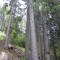 wf_poschiavo_torn-06.jpg