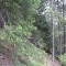 wf_poschiavo_torn-07.jpg