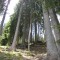 wf_poschiavo_torn-15.jpg