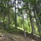 wf_poschiavo_torn-16.jpg