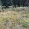 img_9148.jpeg