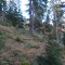dsc01786.jpg