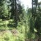 sass-grand_bever_-(1).jpg