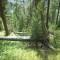 sass-grand_bever_-(3).jpg