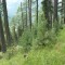sass-grand_bever_-(7).jpg