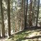 3_photo6.jpg