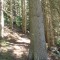 6_photo3.jpg
