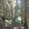 6_photo5.jpg