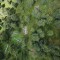 dji_0083.jpg