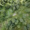 dji_0085.jpg