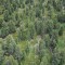dji_0086.jpg