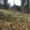 wf_grotzawald_20_1.jpg