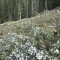 wf_grotzawald_20_2.jpg
