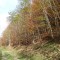 20241107_gruenenwald_07a.jpg
