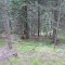 1_5_20230803.jpg