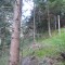 1_8_20230802.jpg