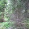 2_1_20230803.jpg