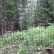 2_6_20230803.jpg