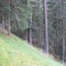 3_3_20230803.jpg