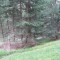 3_6_20230803.jpg