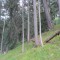 3_8_20230803.jpg