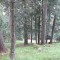 4_5_20230803.jpg