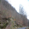 20080318_herderenwald_fsta4.1.JPG