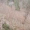 wf_suraua_sorts_fs-1.1_2016.jpg