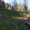 wf_grotzawald_19_8.jpg