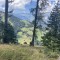 wf_versam_birchegga_fs-1.1_2023.jpg