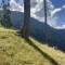 wf_versam_birchegga_fs-1.3_2023.jpg