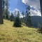 wf_versam_birchegga_fs-1.4_2021.jpg